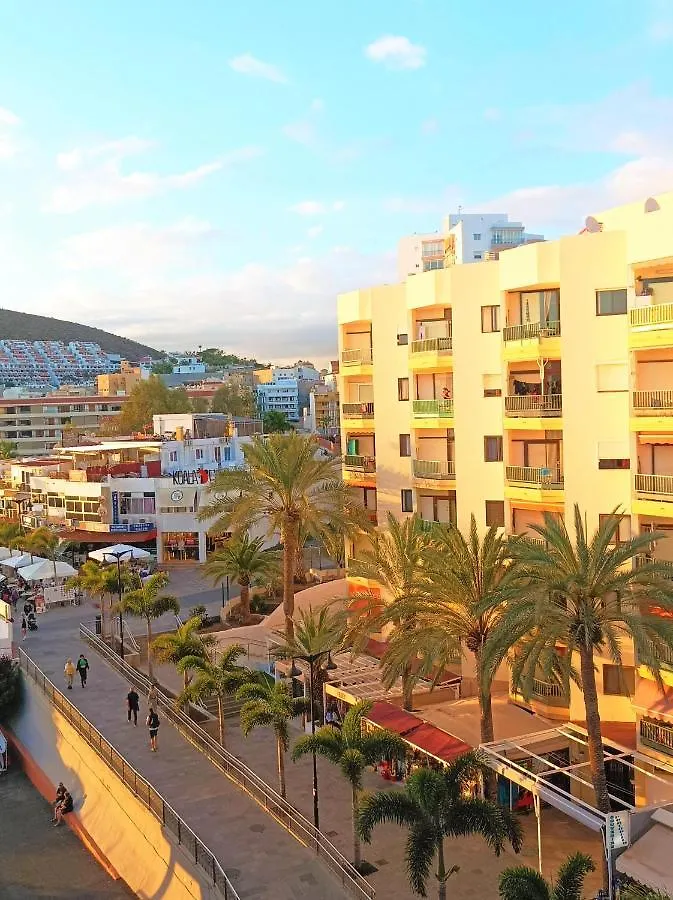 Ocean View Playa Los Cristianos Beachfront Lejlighed